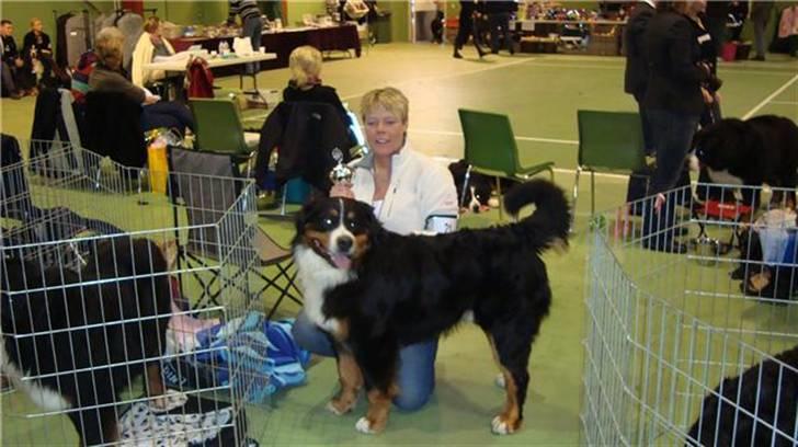 Berner sennenhund Terplinggaards Arkaen - 1. vinder i Nyborg, med pokal og det hele.. Stolt mor.. billede 18