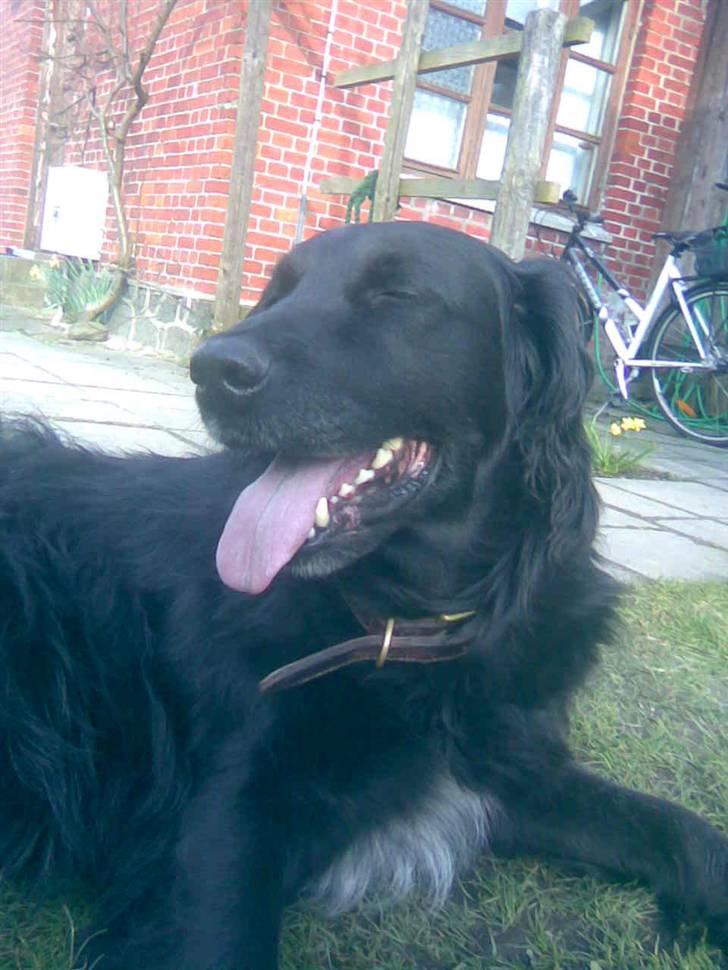 Blanding af racer Chano my soulmate!<3 - min bedste ven! billede 6