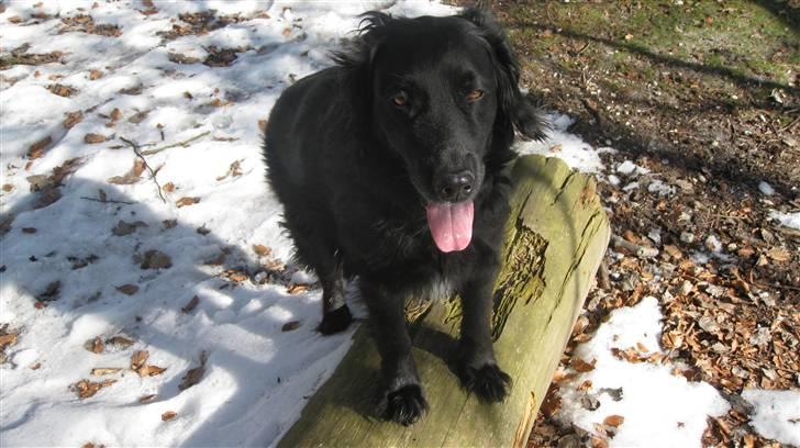 Blanding af racer Chano my soulmate!<3 - my are the sun and you make me shine! billede 8