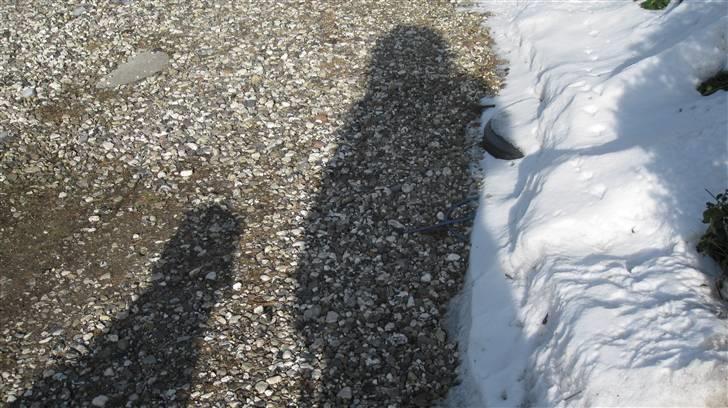 Blanding af racer Chano my soulmate!<3 - you are my shadow<3  billede 9