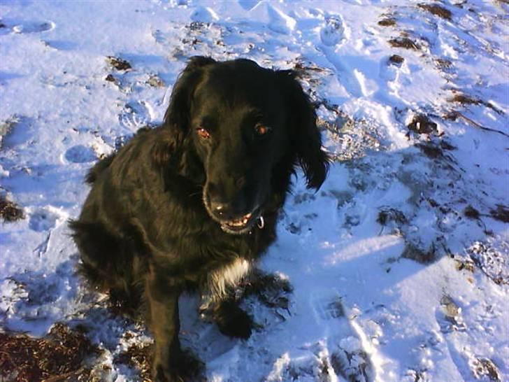 Blanding af racer Chano my soulmate!<3 - You were my eyes when I couldn´t see billede 13