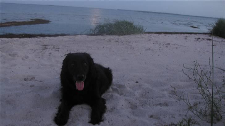 Blanding af racer Chano my soulmate!<3 - if you ask me what real friendship is i will reply : CHANO <3 billede 19