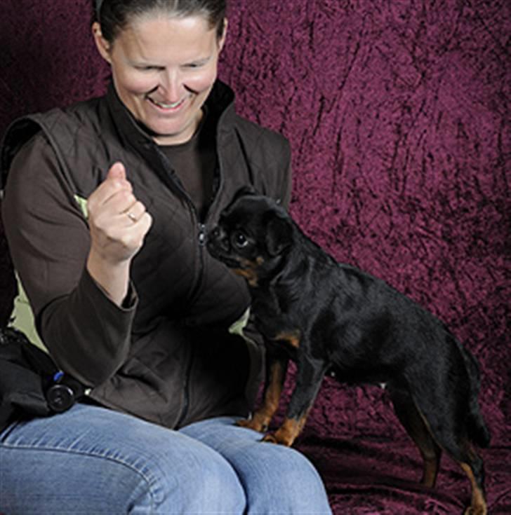Griffon petit brabancon Goldene Horde Coco - Coco 20. marts 2010. Foto: Betina Nielsen, StarPhoto.dk billede 20