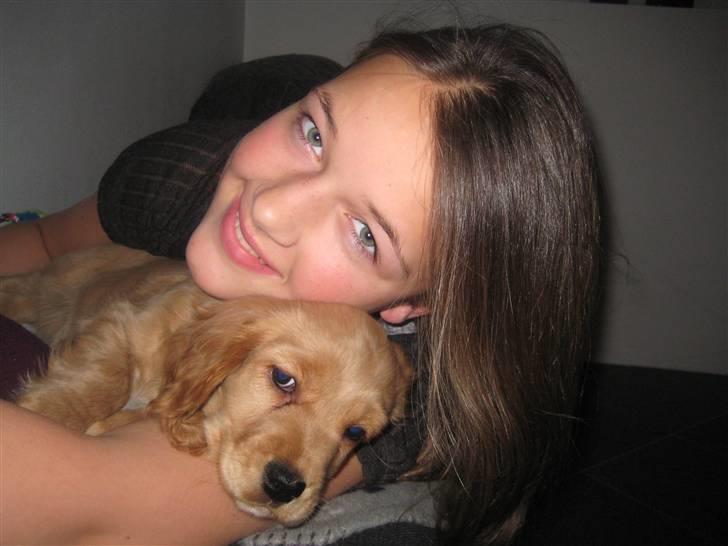 Blanding af racer Tulle - julle og tulle billede 19