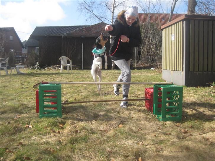 Blanding af racer Fimbe (Mormor's) - (18)  Jeg kan flyve:D billede 18