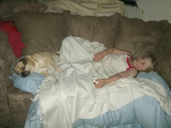 Blanding af racer charlie - hvem snorker mest.... billede 9