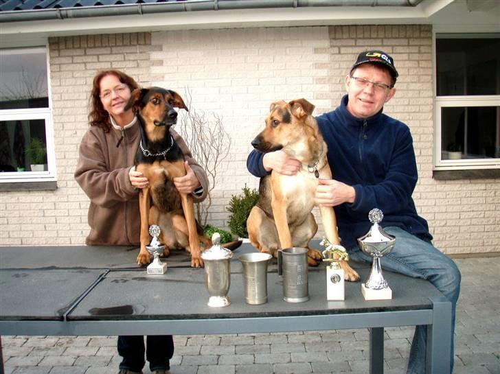 Blanding af racer Nala billede 18