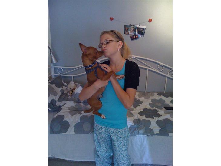 Blanding af racer Valdemar<3 - MYS!<3 billede 1