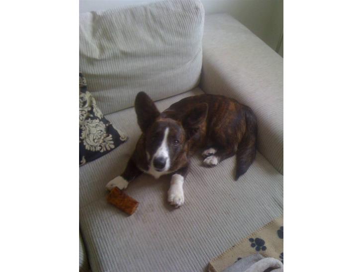 {{currentPhoto.altText}} billede {{currentPhoto.number}}