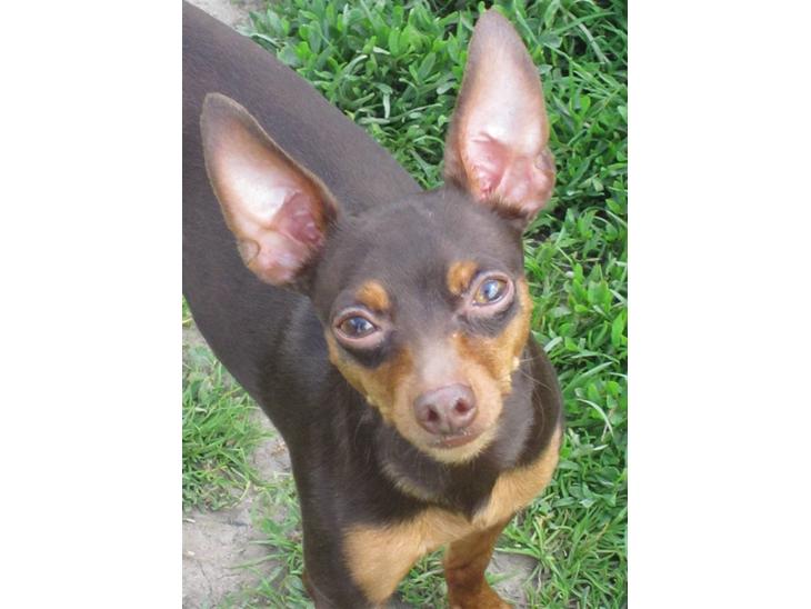 {{currentPhoto.altText}} billede {{currentPhoto.number}}