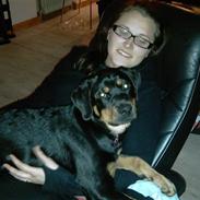 Rottweiler Angel Lien Valentin