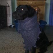 Blanding af racer pi