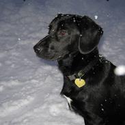 Blanding af racer pi