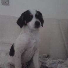 Blanding af racer *Lone* prinzezze!<3