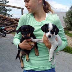 Blanding af racer *Lone* prinzezze!<3