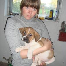 Blanding af racer willie