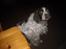 Engelsk springer spaniel Luna  - "Jeg sidder altså pænt !!" (: