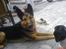 Blanding af racer Bodo *R.I.P* 