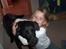 Labrador retriever lucky R.I.P )=