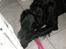 Blanding af racer *Balou*-Louise