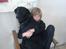 Labrador retriever Luker-boy<33-Jose