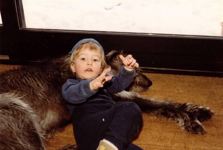 Irsk ulvehund Faxbos Cinderella R.I.P. - Cinda og bror hygger billede 3