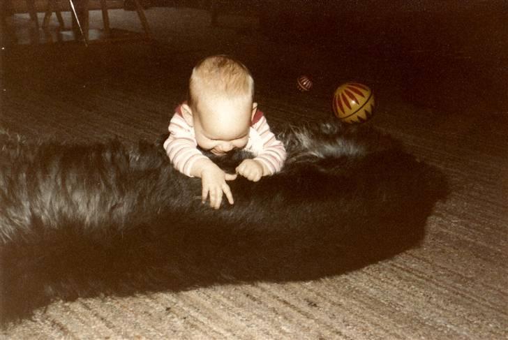 Irsk ulvehund Faxbos Cinderella R.I.P. - Jaja, hun fandt sig i alt:) billede 4