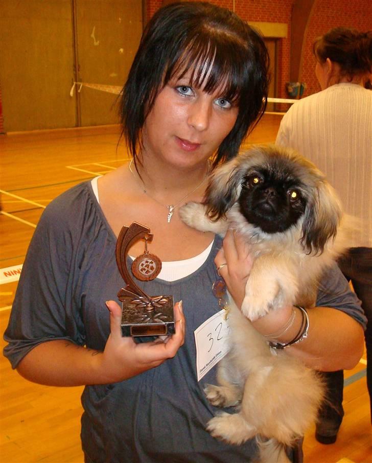 Pekingeser Lullu - Her er jeg sammen med min første pokal, da jeg fik en 1. pr. + bronze i Hvalpeshowet billede 11