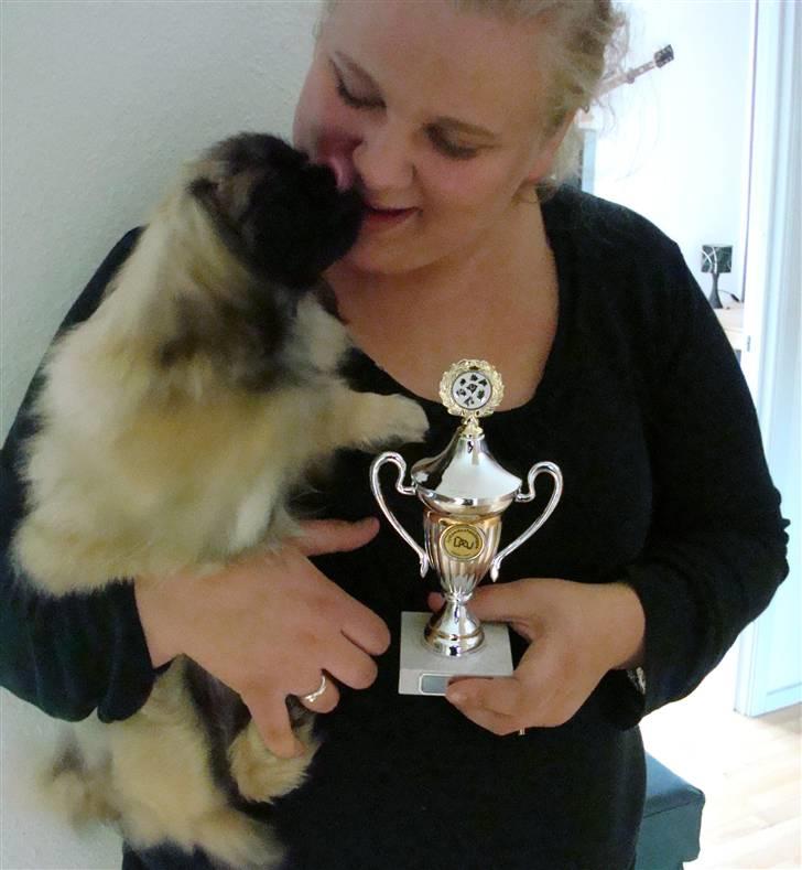 Pekingeser Lullu - Det her er så mig og min ANDEN pokal da jeg vandt 1. pr. + SL i Hvalpeklassen... Mor skal lige ha et kys! billede 12
