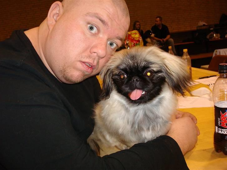 Pekingeser Lullu - Jeg elsker at lave ``fjollebilleder`` med far;) billede 13