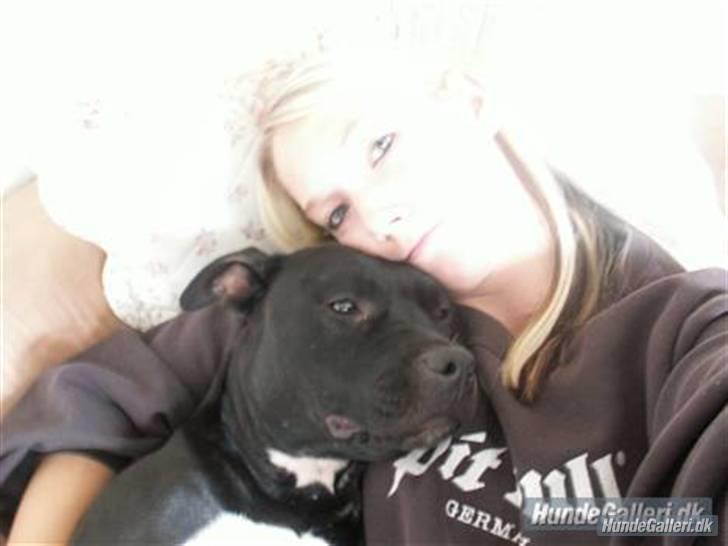 Amerikansk staffordshire terrier Tøsen Prinsesse( R.I.P ) - Min elskede og savnede pige hund og mig <3 Hun vil altid være min engel !!!  billede 3