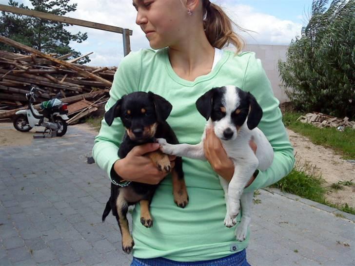 Blanding af racer *Lone* prinzezze!<3 - Lone, mig og Benjamin<3<3<3 billede 3