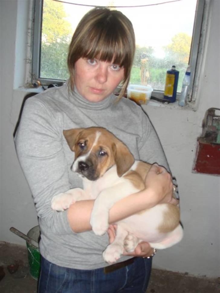 Blanding af racer willie - mette og willie oppe hved mette og peter  billede 1