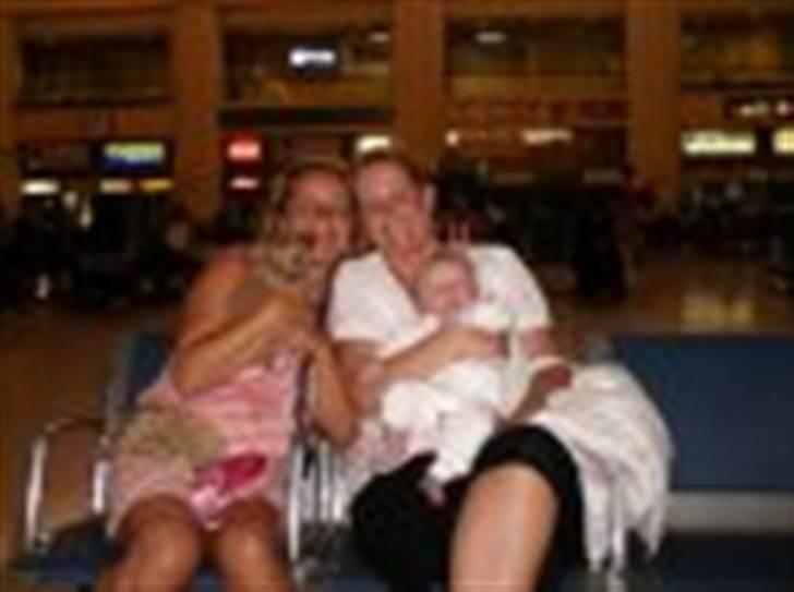 Chihuahua Nuggi - Sommerferie  Spanien 2008, med mor og reservemor billede 13