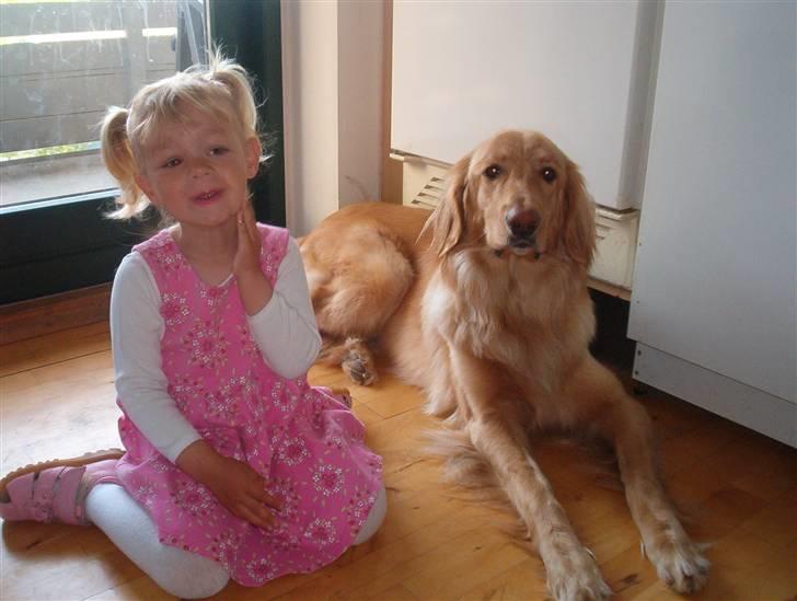 Hovawart Freja Rip <3 billede 4