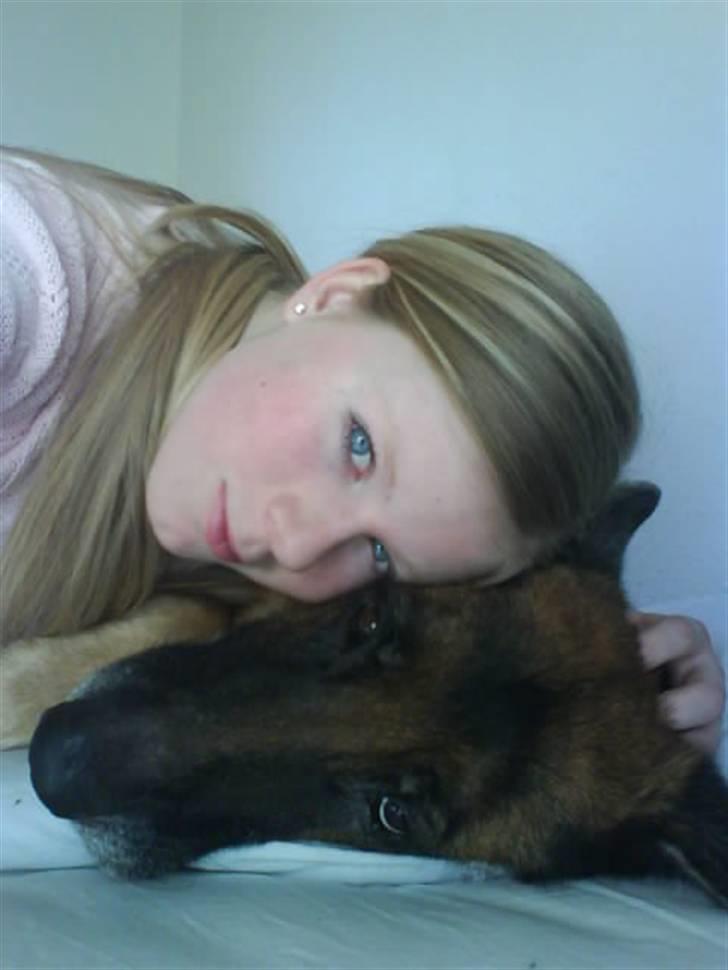 Schæferhund fie<3 ~R.I.P ~ - mig og fie - et af de sidste billeder.  love you and miss you billede 9