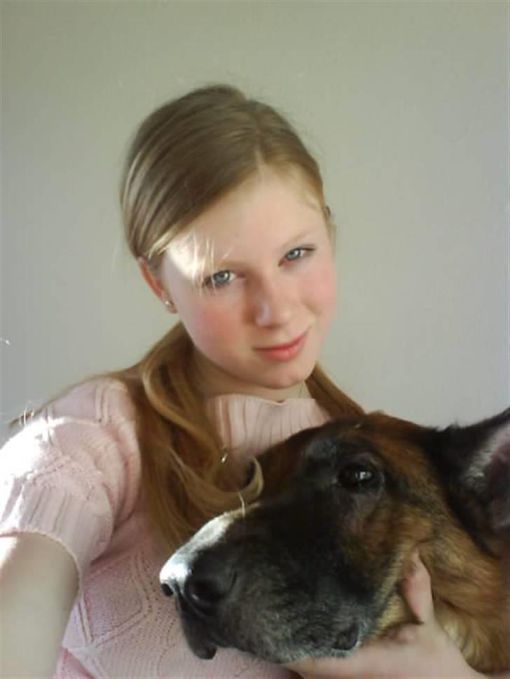 Schæferhund fie<3 ~R.I.P ~ - et af de sidste billeder.  - savner dig du vil altid være i mit hjerte.  billede 11
