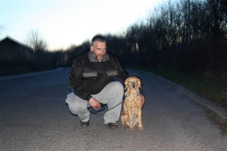 Blanding af racer trixie - trixie og august på aften tur  billede 8