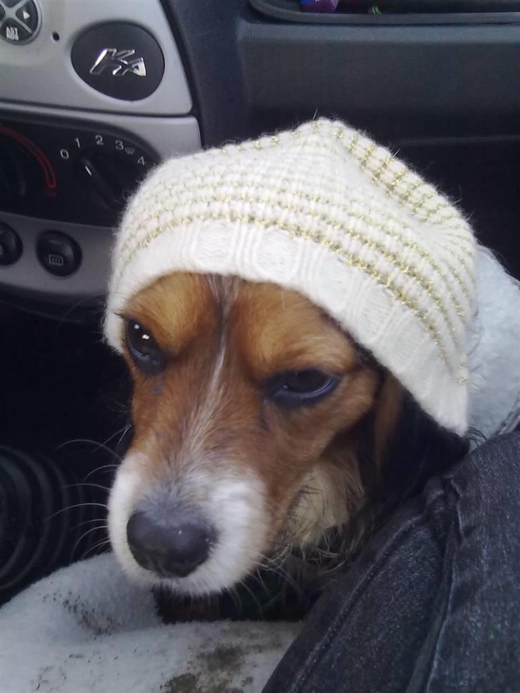 Blanding af racer pjuske - jeg er så sej med min nye hue billede 3