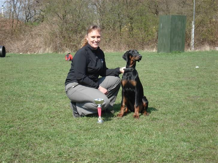 Dobermann GOF Excellent Estrella billede 3