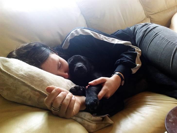 Blanding af racer Nellie RIP :'( billede 5