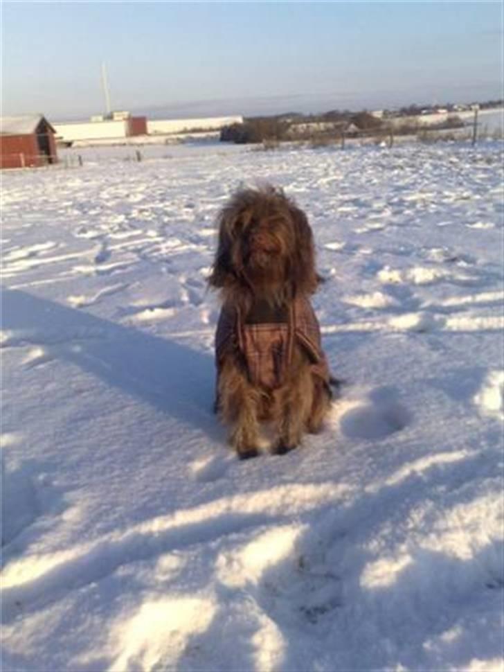 Blanding af racer Gucci billede 1