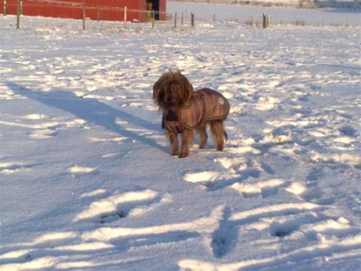 Blanding af racer Gucci billede 2