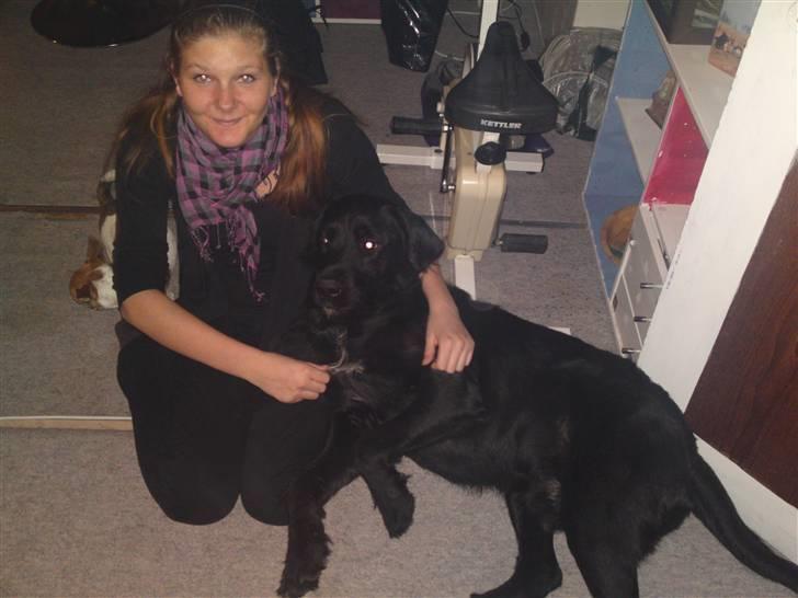 Blanding af racer Leopold - sabine der er på visit, hende kan jeg godt lide. billede 19