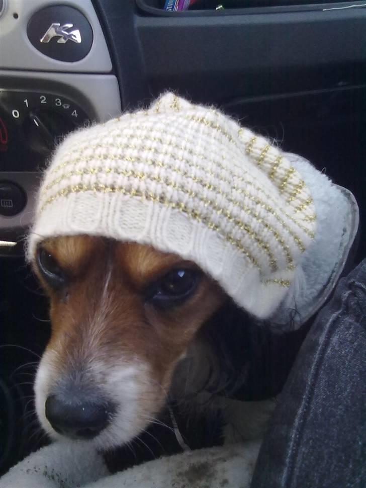 Blanding af racer pjuske - er jeg ikke bare sej:) billede 7