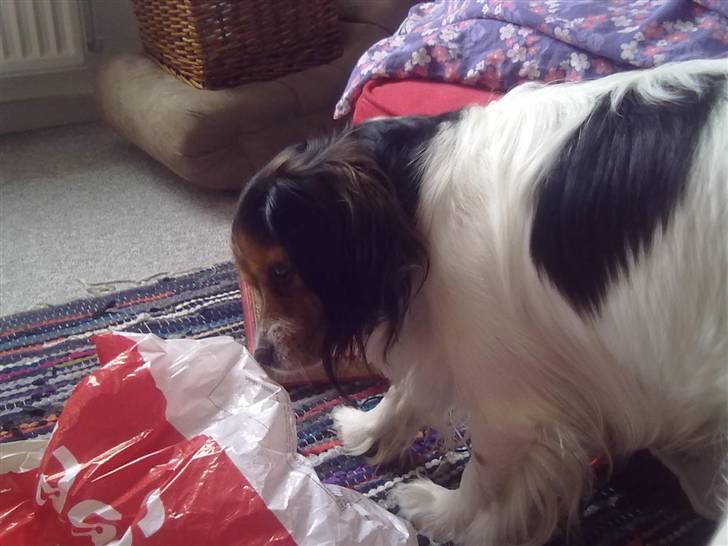 Blanding af racer pjuske - den lugter/dufter godt :) billede 8