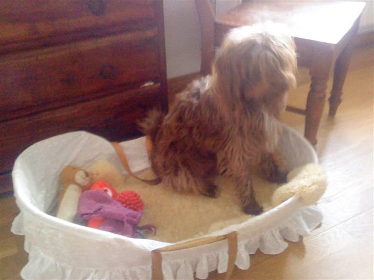 Blanding af racer Gucci billede 5