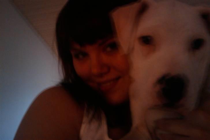 Amerikansk bulldog chano - mors vabber billede 4