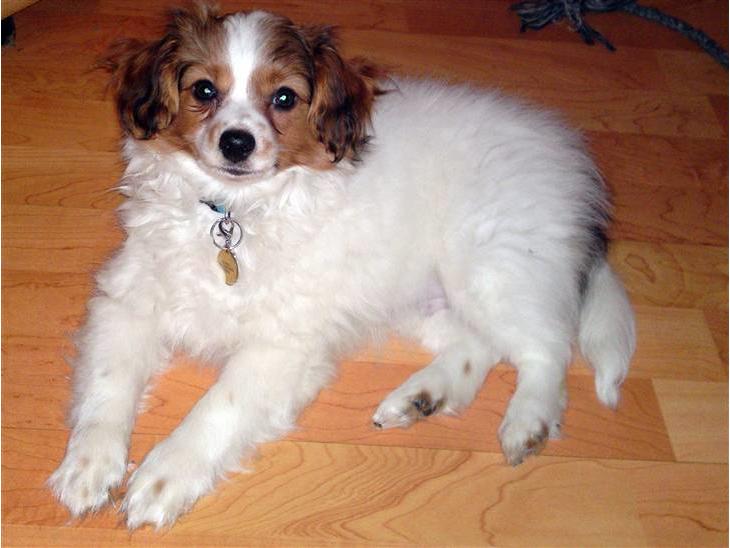 {{currentPhoto.altText}} billede {{currentPhoto.number}}