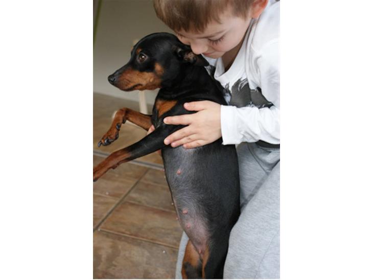 {{currentPhoto.altText}} billede {{currentPhoto.number}}